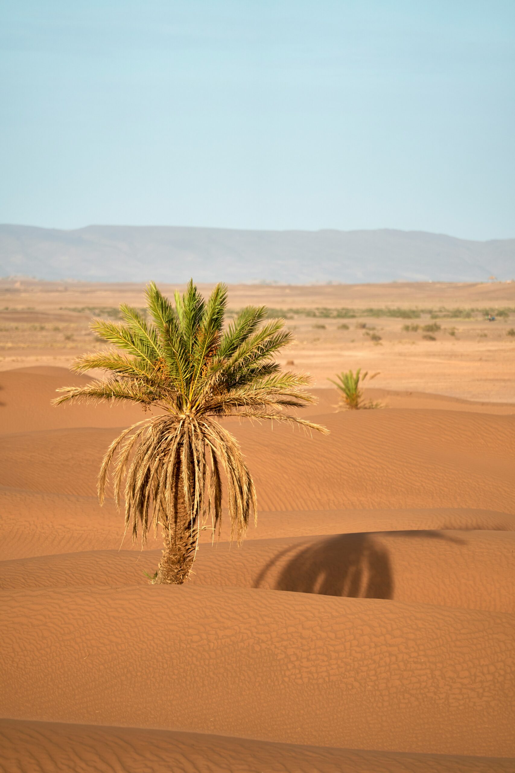 wolfgang-hasselmann-6TV__Fa5nqU-unsplash